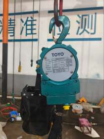 Таль пневматическая 250 кг TYC-025